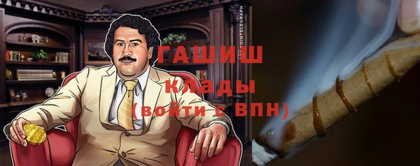 PSILOCYBIN Алзамай
