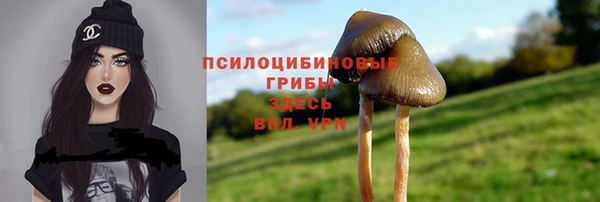 меф Рославль