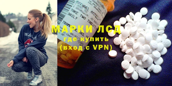 PSILOCYBIN Алзамай