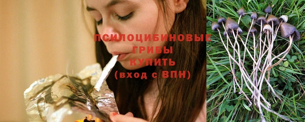 тгк Алексеевка