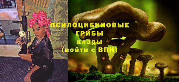 тгк Алексеевка