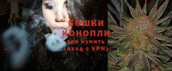 PSILOCYBIN Алзамай
