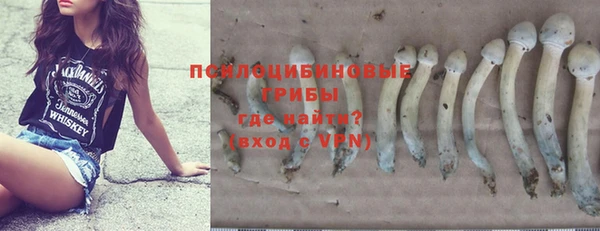 дурь Алексин