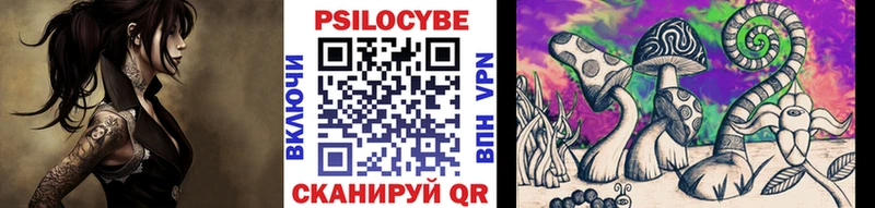 Псилоцибиновые грибы GOLDEN TEACHER  Амурск 